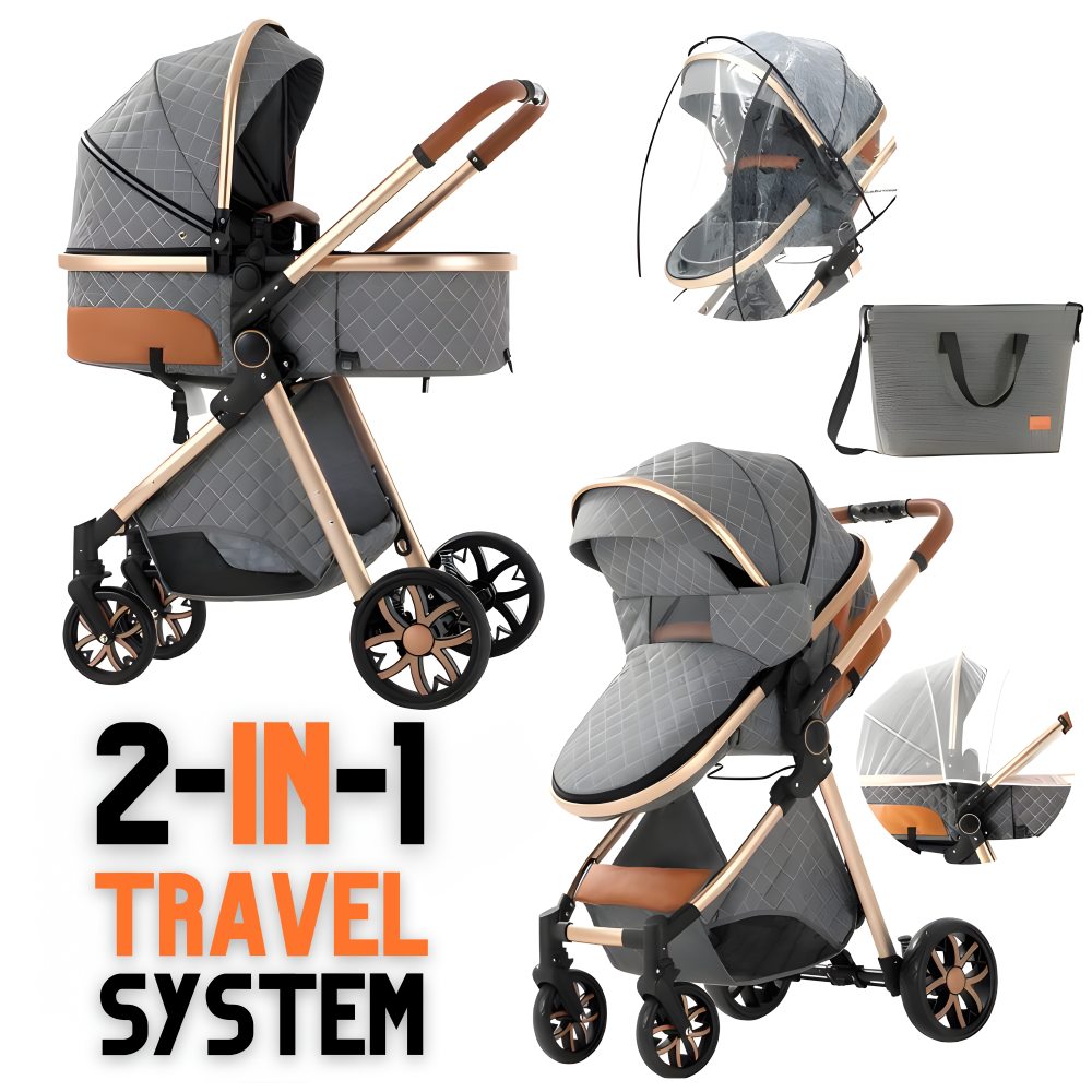 Luxury 2-in-1 Baby Stroller