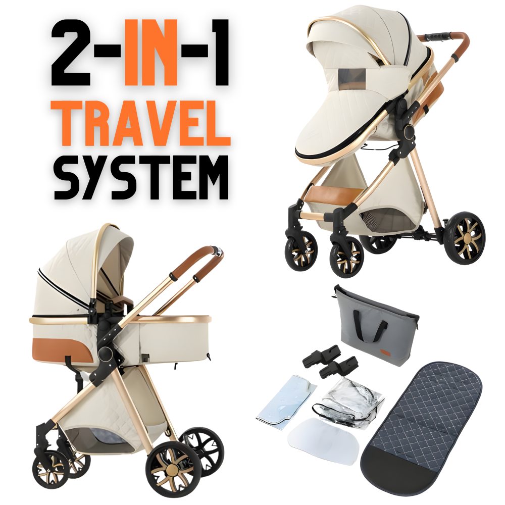 Luxury 2-in-1 Baby Stroller