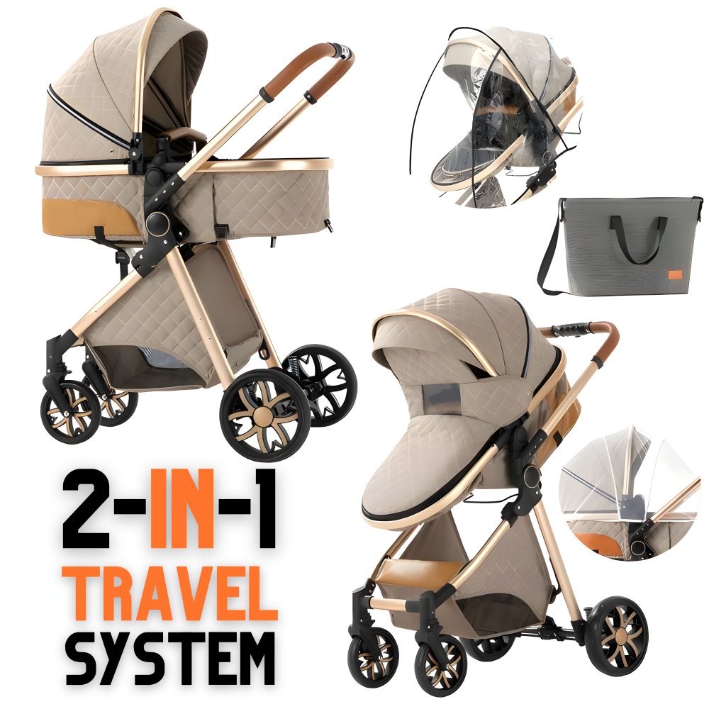 Luxury 2-in-1 Baby Stroller